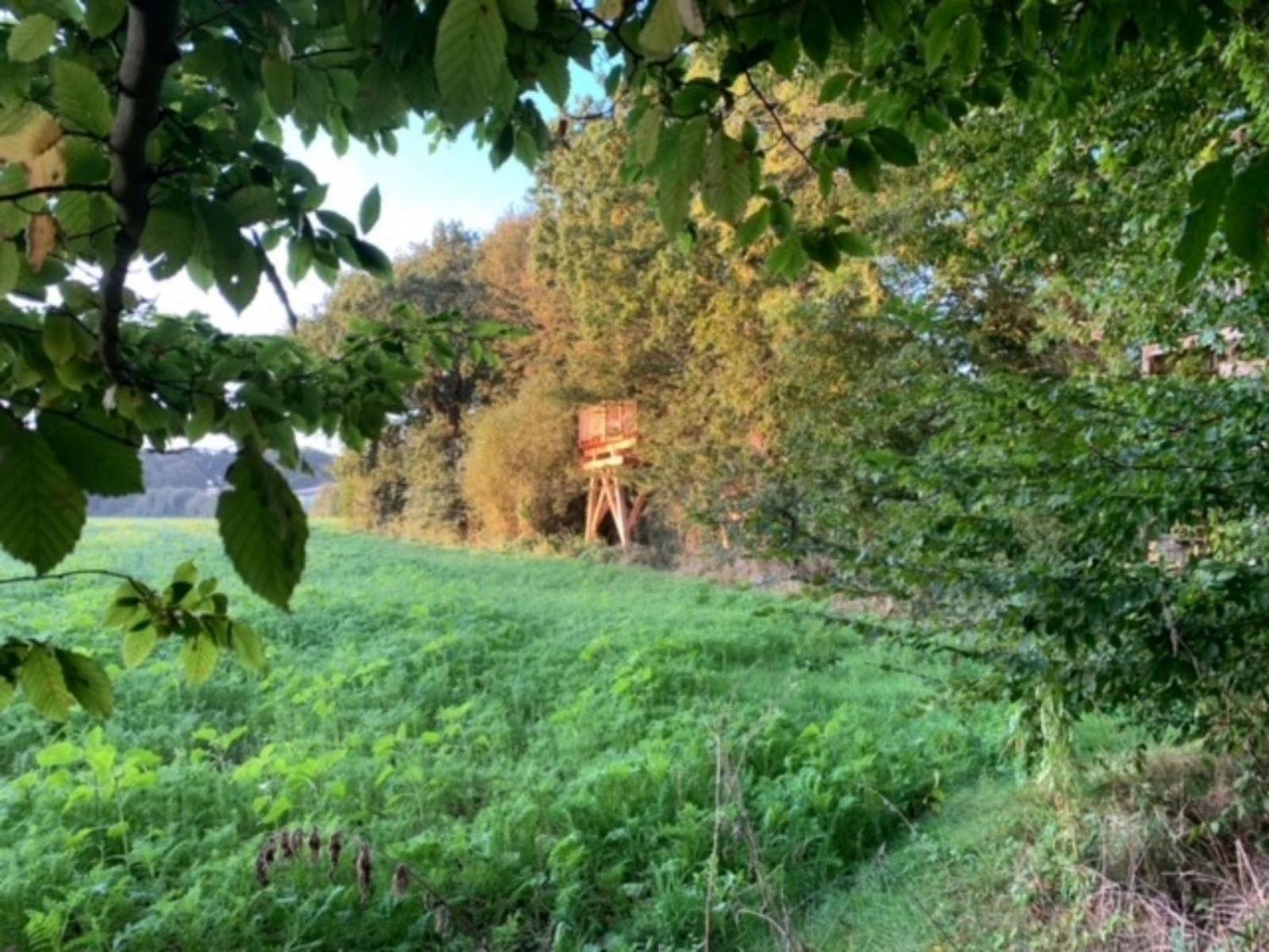 La Ville Es Renais - Ferme Et Maison D'Hotes Insolite Erquy Exteriör bild